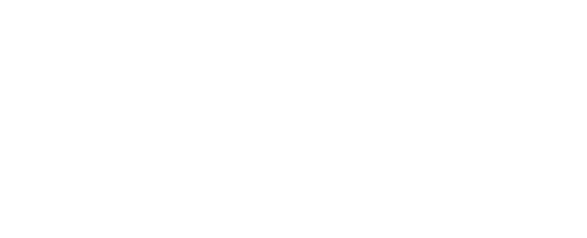 dyarclean